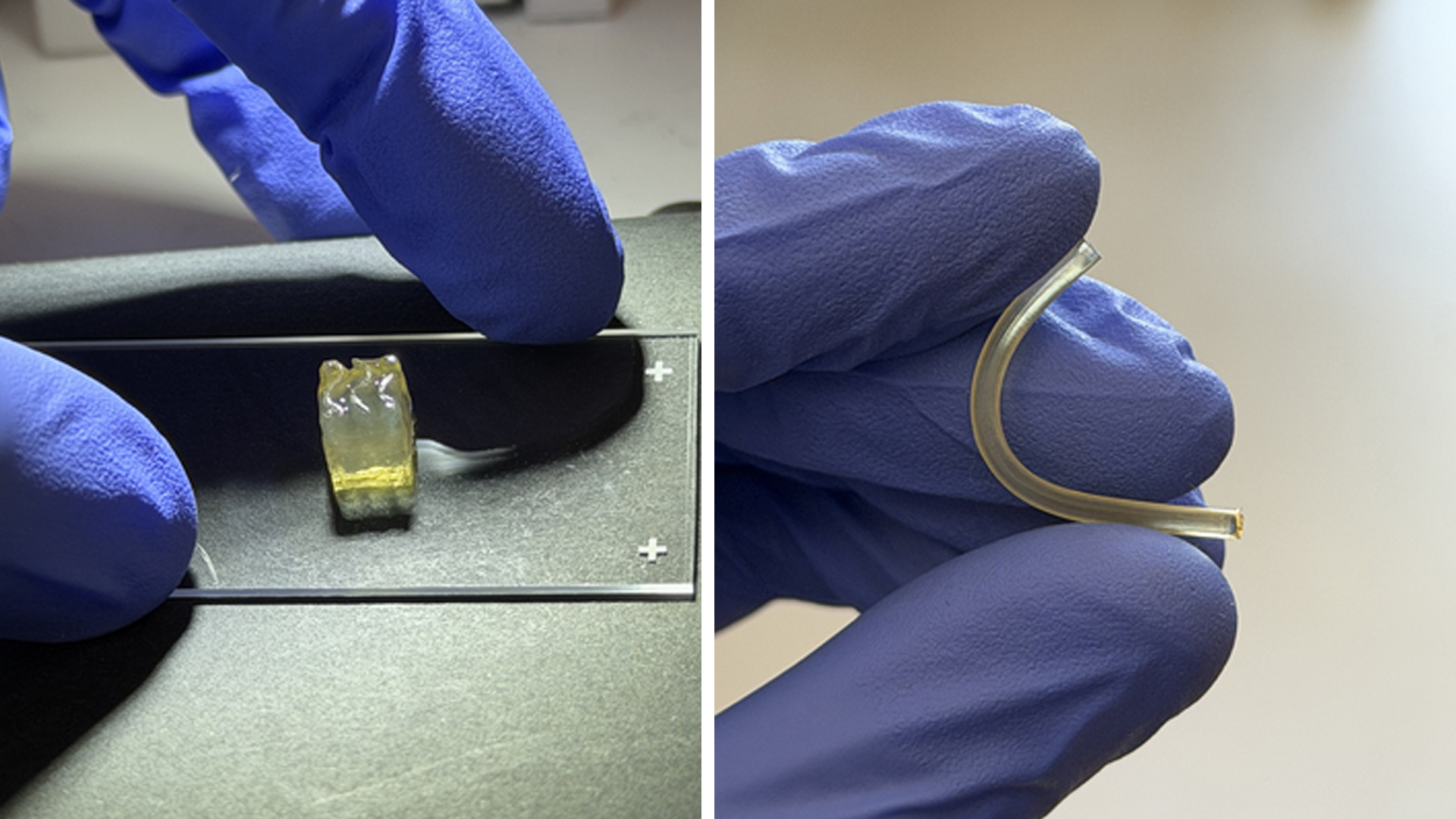 In a first, kidney and liver tissues printed in space to tackle critical Earth problem
