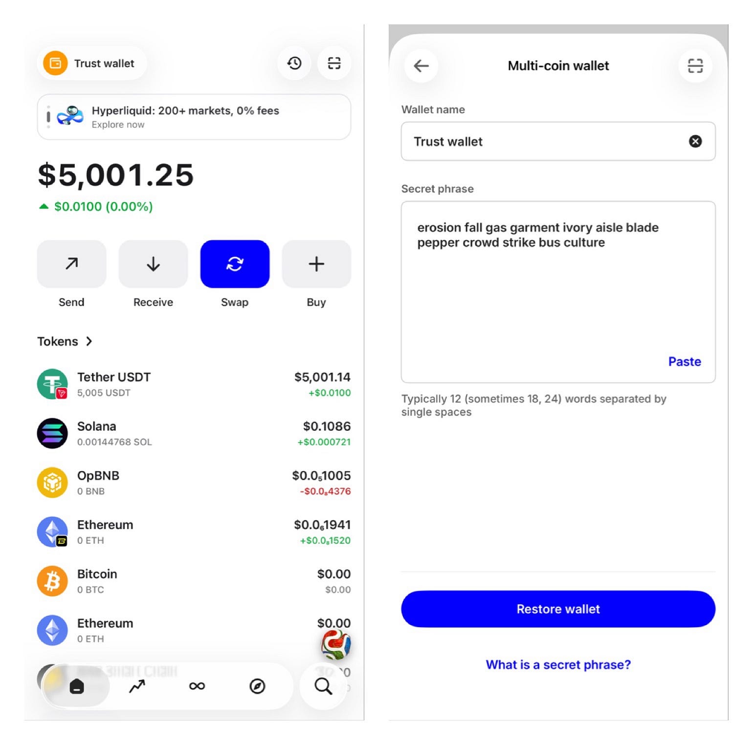 My trust wallet holds 5,000 USDT, and I have the 12 seed phrase: