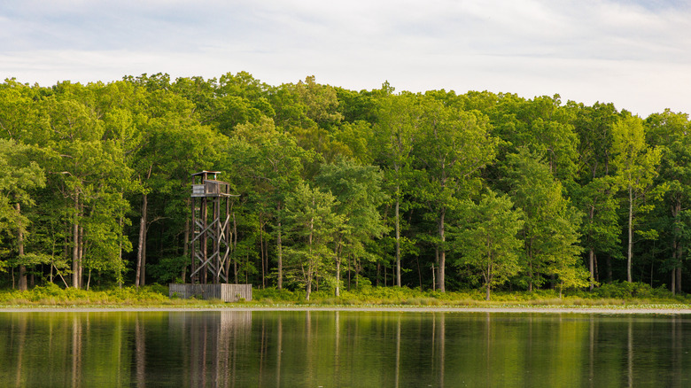 NASA transfers ownership of Maryland woodland to the US Fish and Wildlife Service