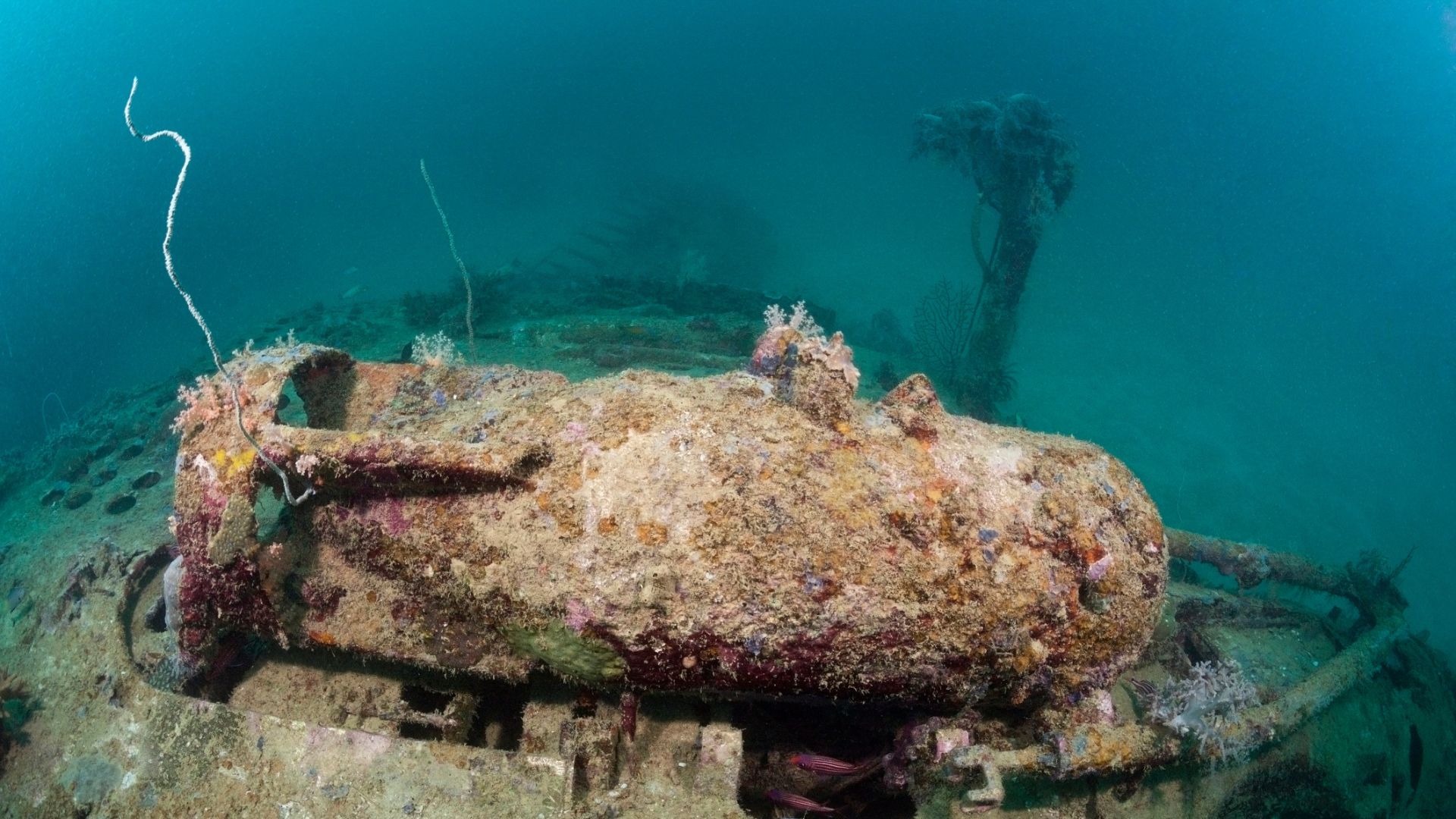 New drone imaging system finds hidden underwater bombs with remarkable accuracy