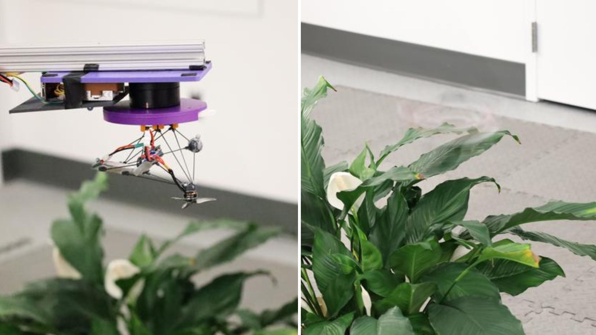‘Phantom Twist’: US team designs drone that spins to achieve near-invisibility