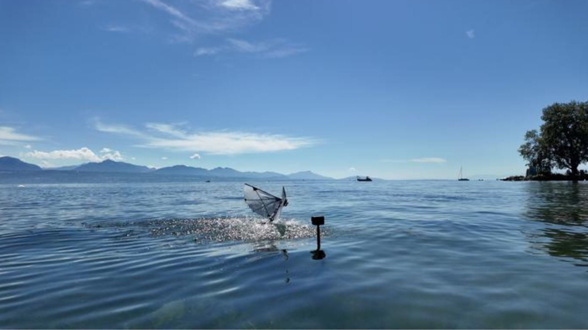 Puffin bird-inspired robot flaps its wings to travel through both air and water