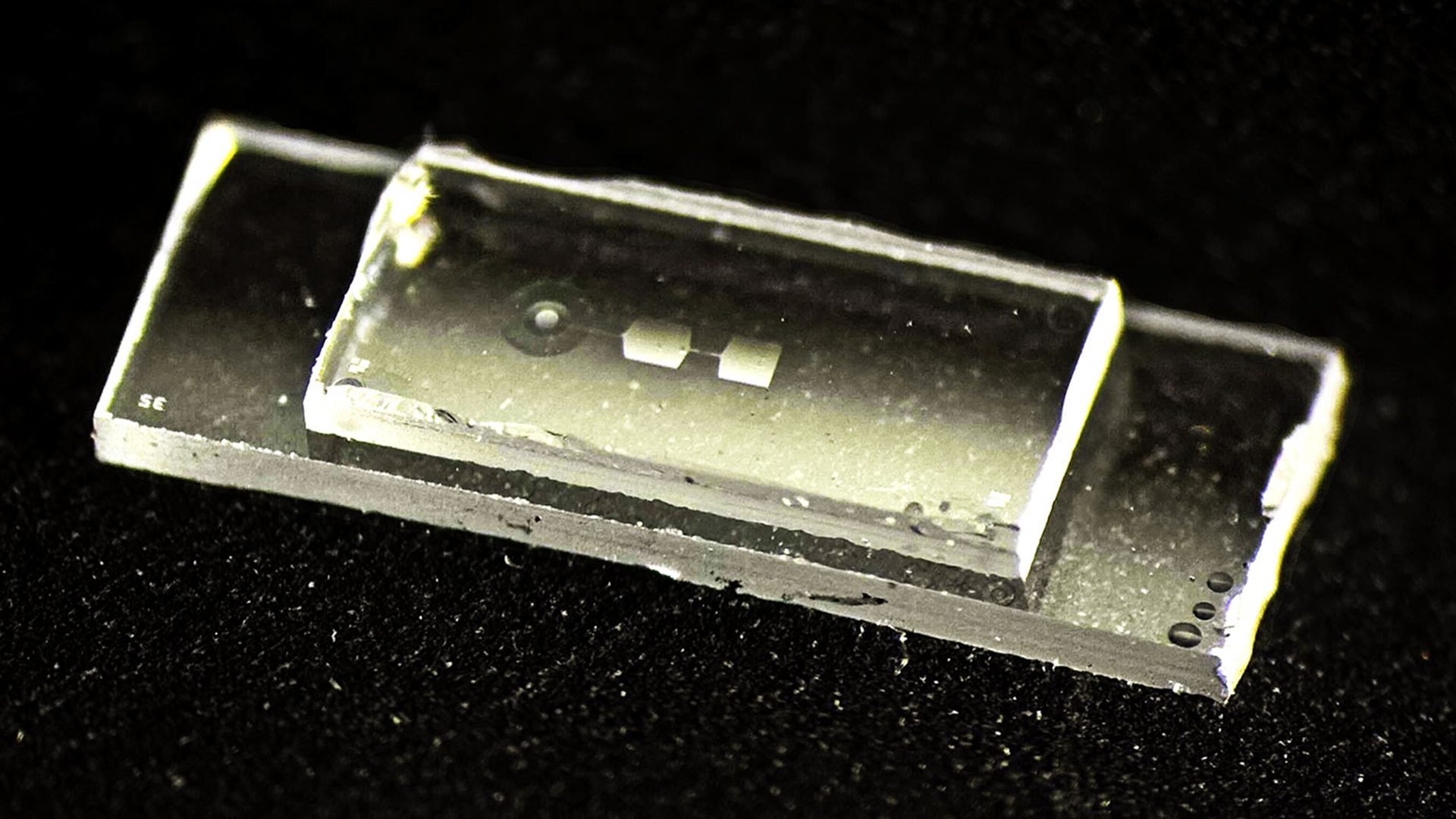 Quantum chip just 0.3 inches long stores memory through tiny mechanical vibrations