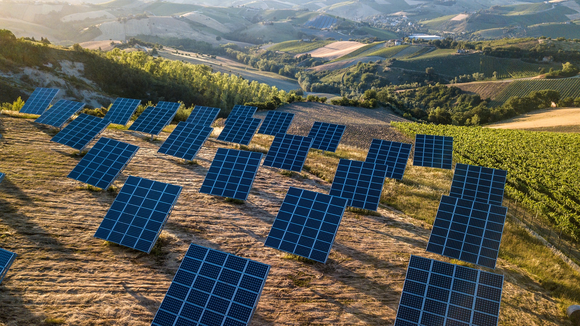 Solar-powered tech turns CO2 into amino acids for sustainable protein supply