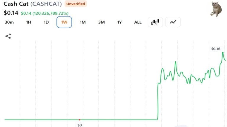 This Trader Sold His CASHCAT for $711 Instead of Retiring: Here’s the Math