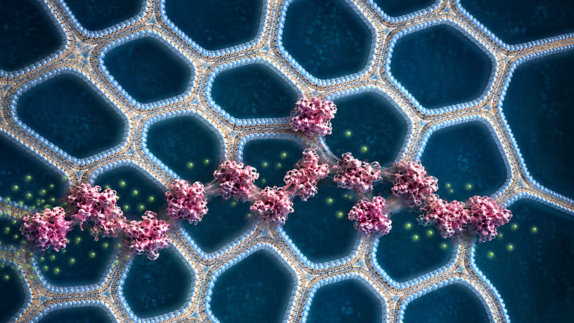 US team creates 3D-printed bio-material for robotics, computing, and clean energy