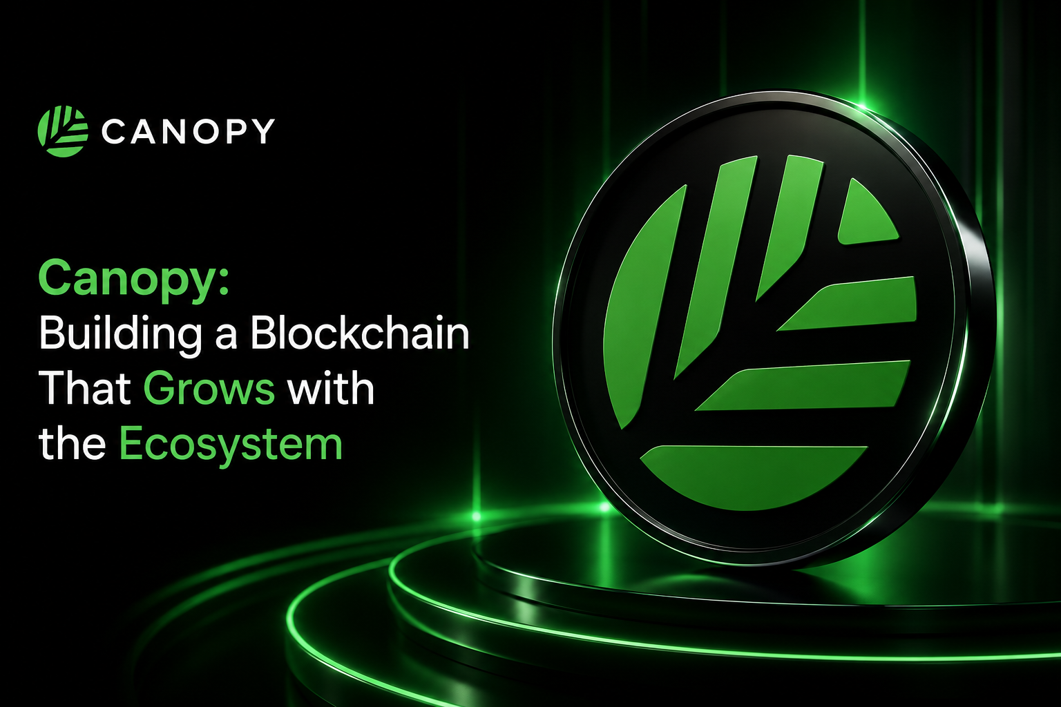 Canopy: Building a Blockchain That Grows with the Ecosystem