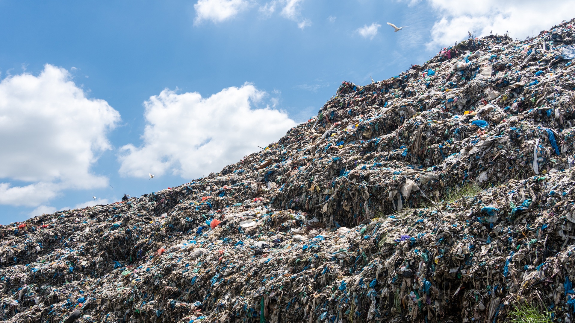 Innovative tech turns 72,000 contaminated single-use lab bottles into recyclable plastic