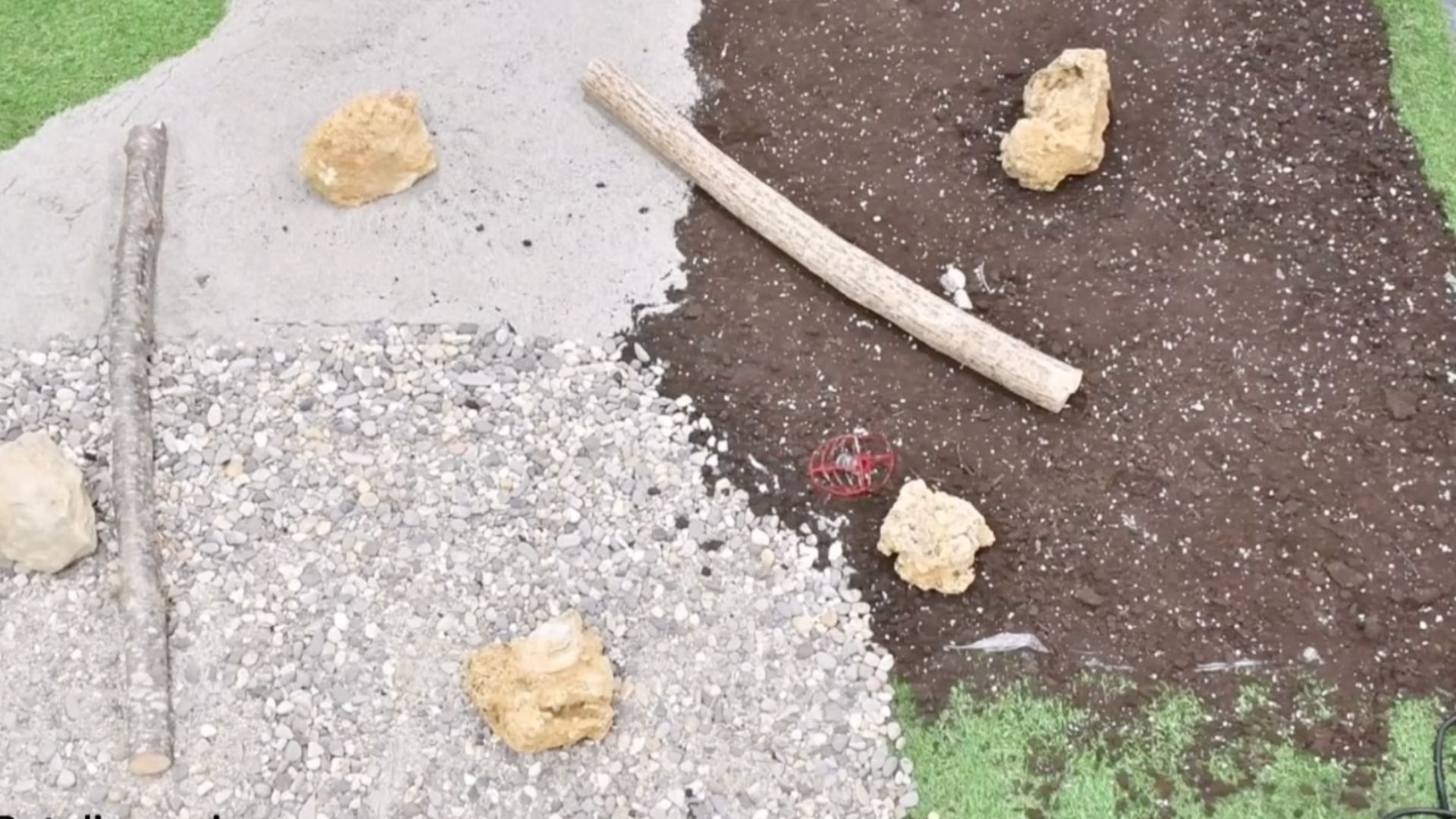 Jumping bean-inspired beanbot moves in surprising ways without motors or software