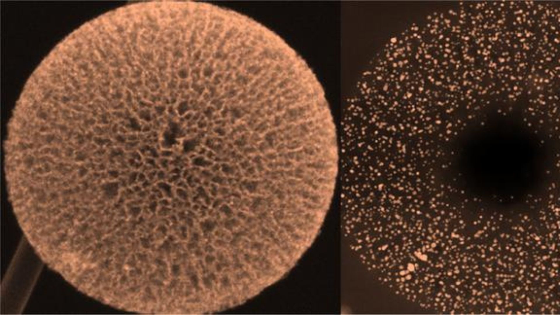 New catalyst holds 85% performance after 150,000 cycles advancing H2 fuel cells