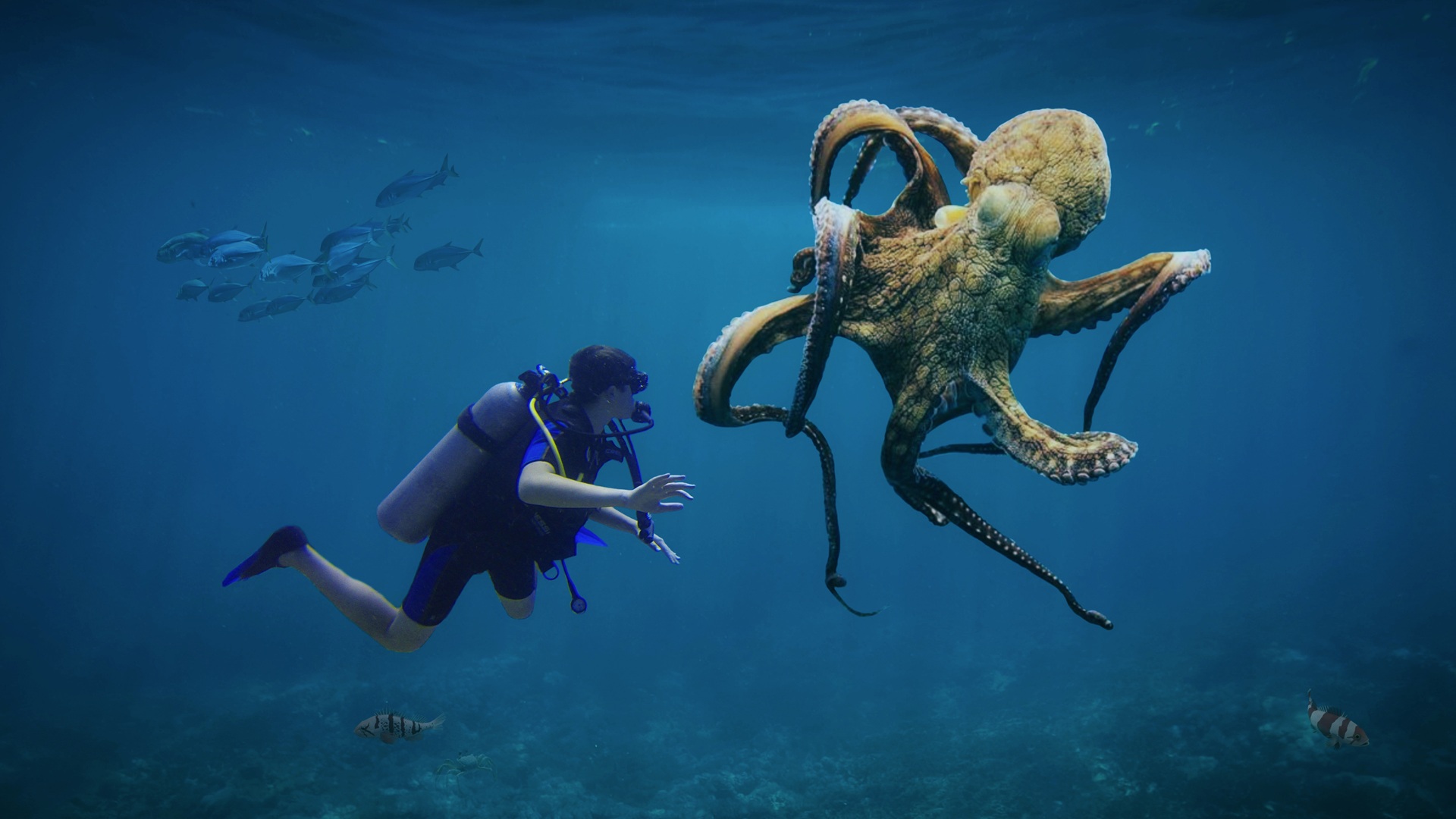 Octopuses are colorblind, so how do they perfectly match colors they can’t even see