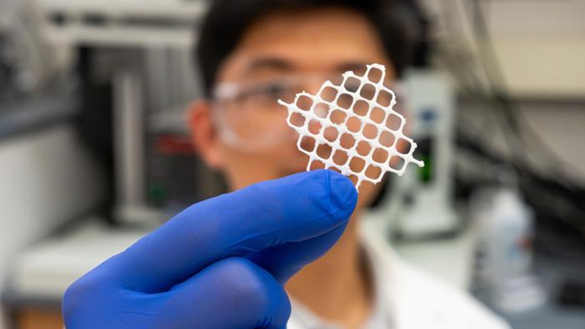 Seaweed-inspired mesh captures microplastics from 5 mm down to tens of nanometers