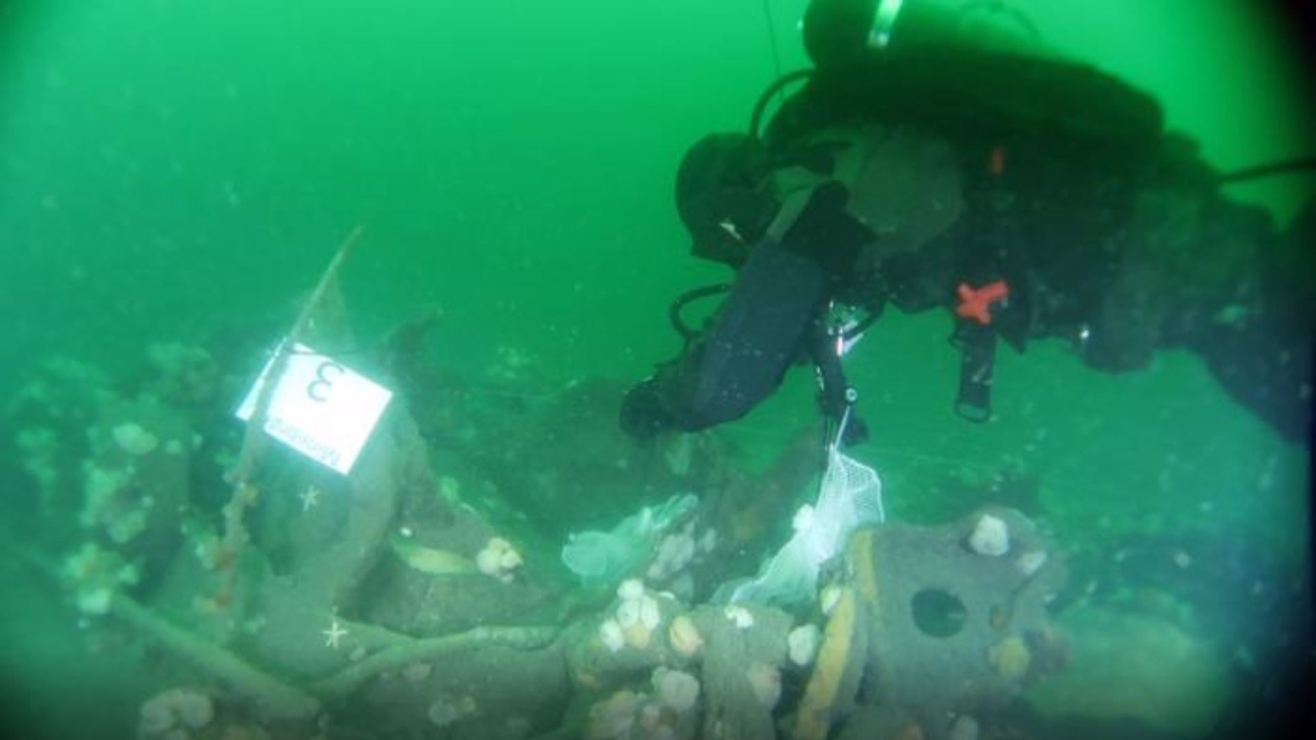 Silent leaks: Century-old shipwrecks are leaking toxic chemicals into North Sea