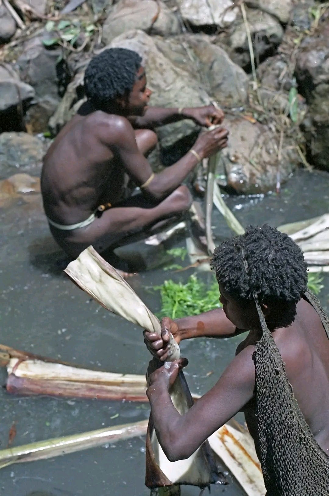 The White Gold Trail of the Baliem: The Dani Tribe’s Secret to Processing Salt from the Jiwika…