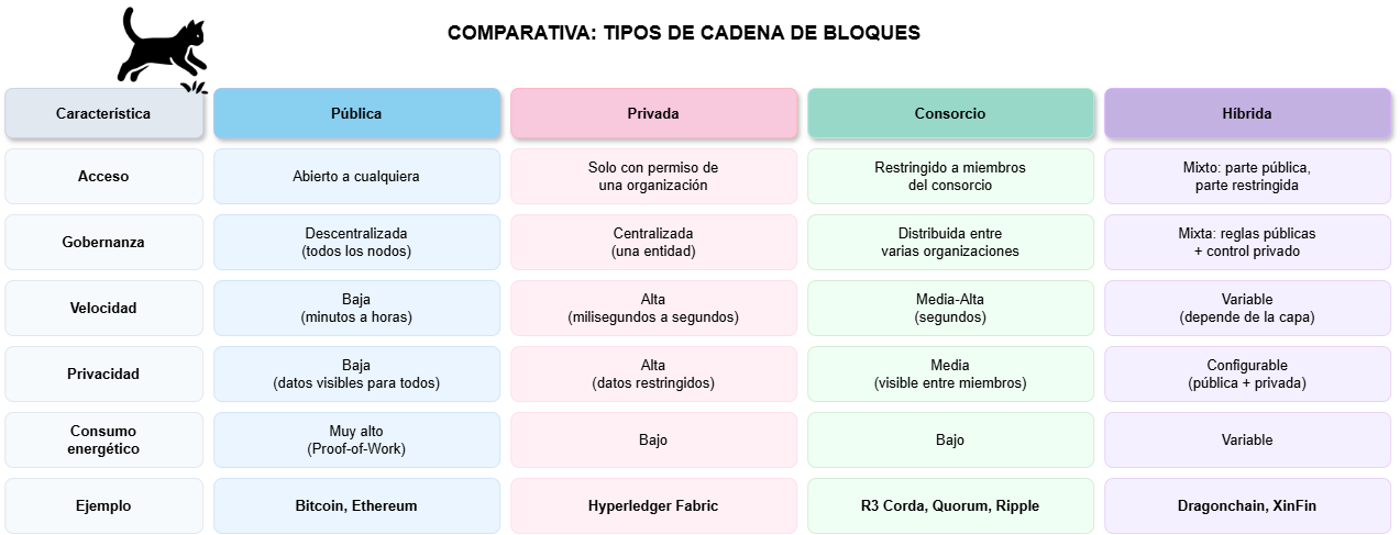 Tipos de Cadena de Bloques: Diferencias, Ventajas y Desventajas