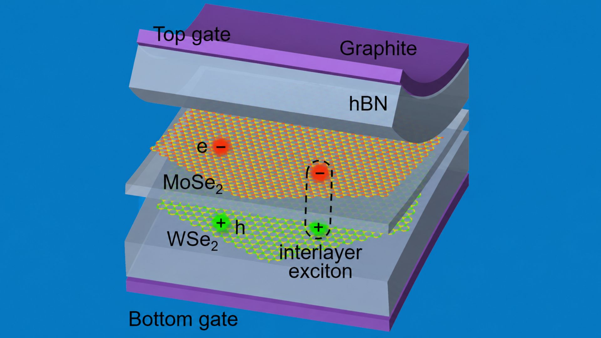 Tunable Bose-Einstein condensate found in Berkeley’s 2D semiconductor research