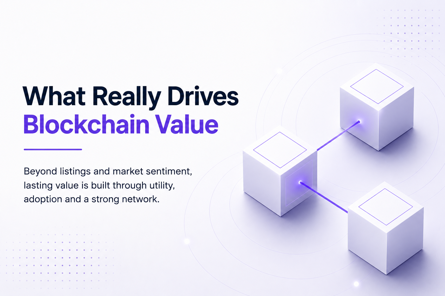 What Creates Value in a Blockchain Ecosystem?