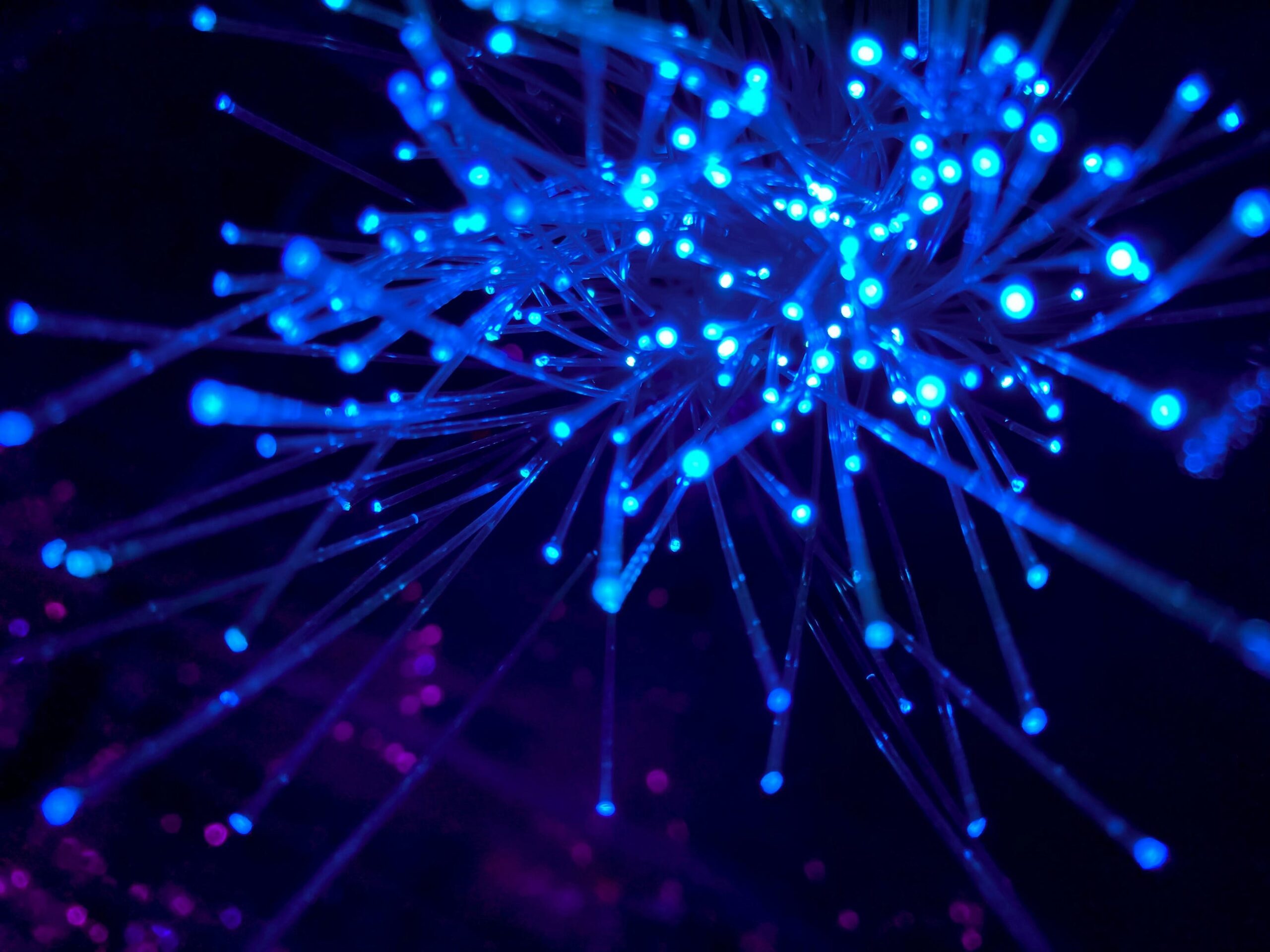 Beyond Client-Server: Exploring Direct P2P Connectivity with Causeway