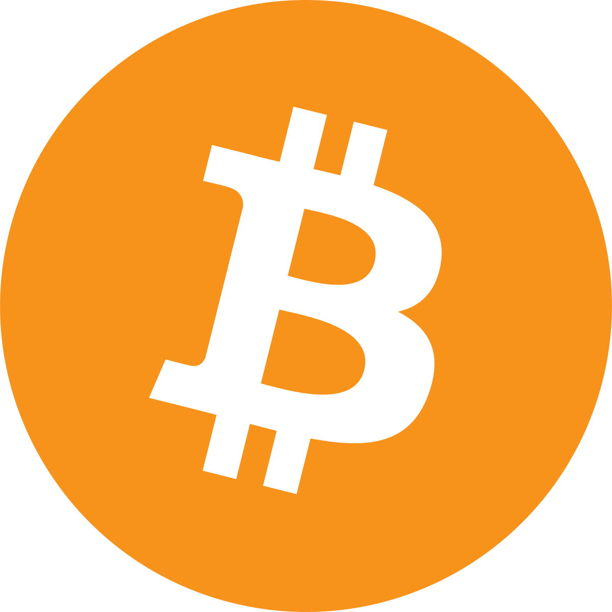 Bitcoin Explained to an 8-Year-Old Prodigy