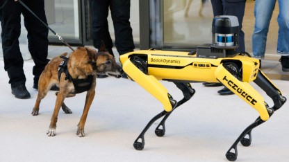 Einwanderungsbehörde: US-Behörde ICE will Spot-Roboter kaufen