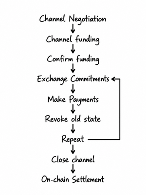 Lightning Network Payment Channels: The Why, What, and How