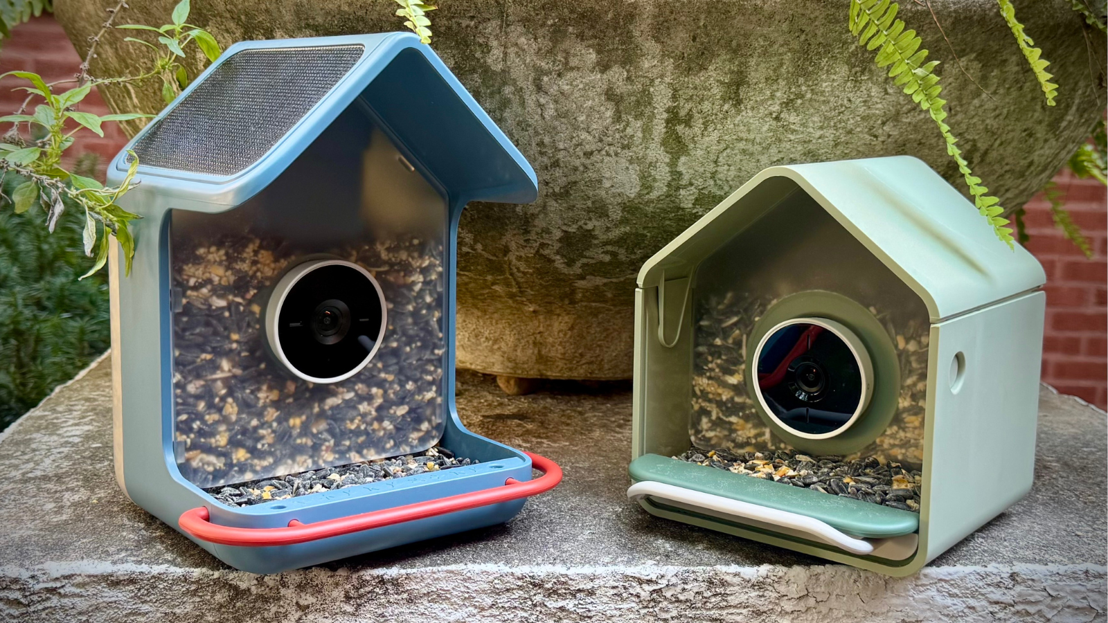 Birdbuddy just launched 2 new smart bird feeders, and I got to try them early