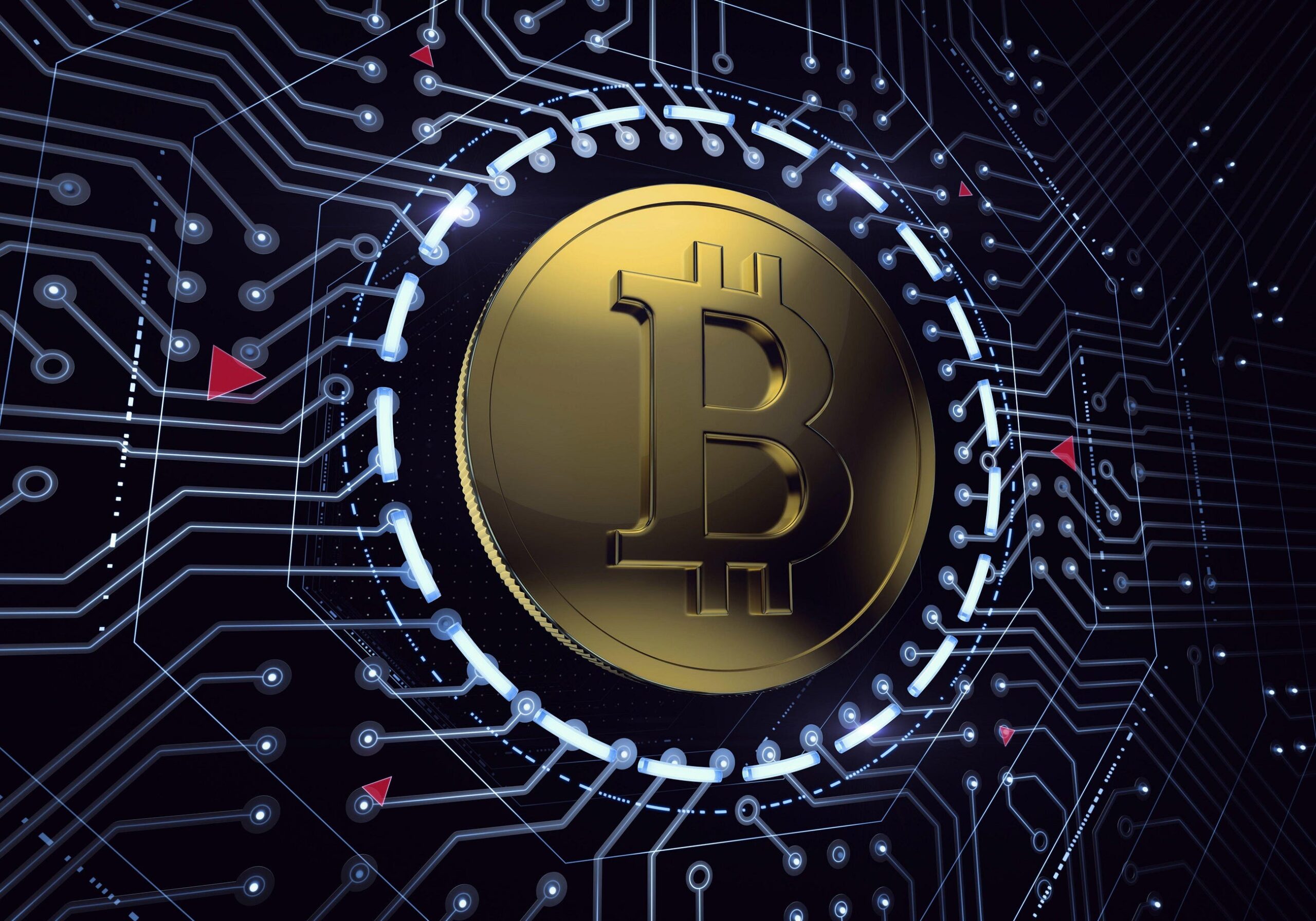 Can stolen bitcoins be recovered from forex scams?