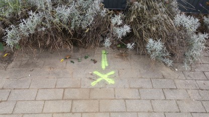 Hausstich: Wir bekommen Telekom-FTTH, bevor Glasfaser in der Straße liegt
