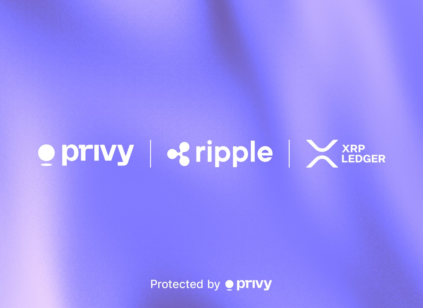 Ripple and Privy Bring XRP Wallets to XRPL After $1T Moved Across 8M Accounts