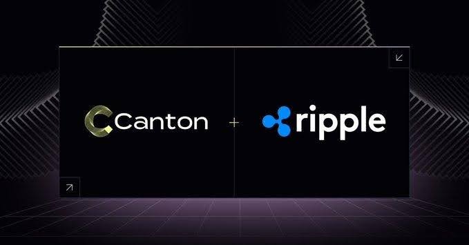 Ripple Custody Adds Canton Network Support, Bringing CC and CIP-56 Into One Vault