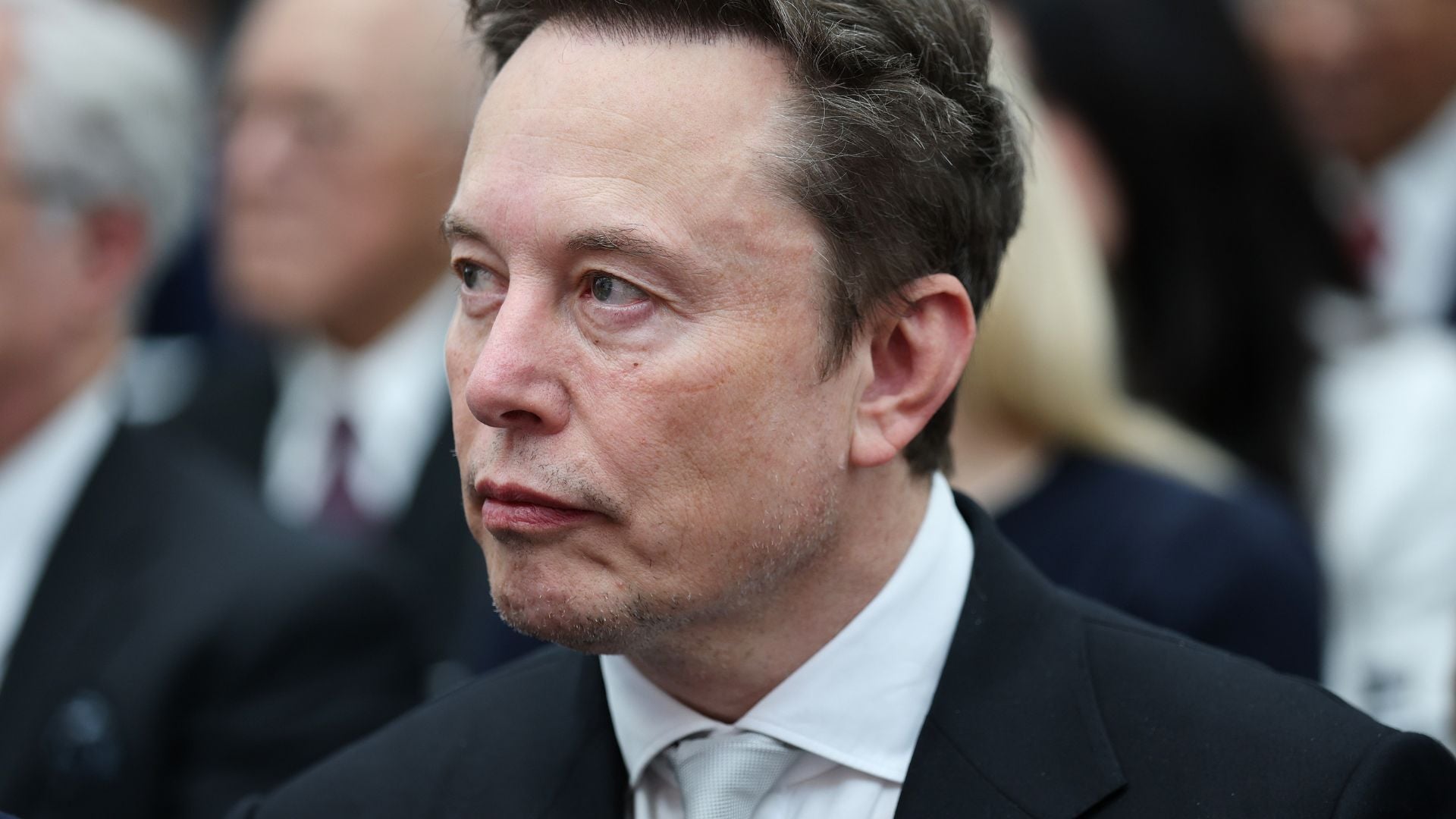 TikTok restores Musk documentary account, says why it was restricted