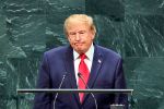 Trumps Umbenennung von KI in SI löst Run auf slowenische Domains aus