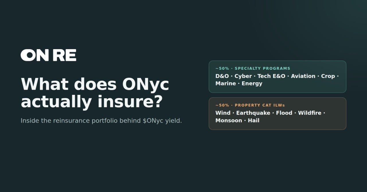 What Does ONyc Actually Insure? Inside the Reinsurance Portfolio