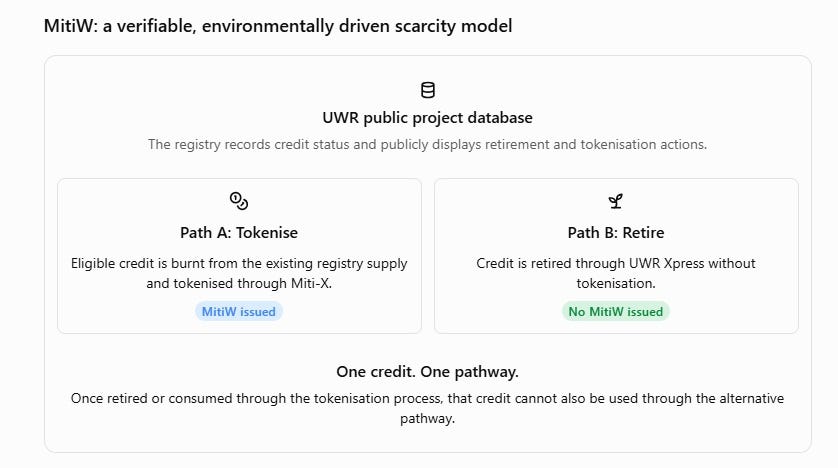 What if saving water could reduce the supply of a digital asset?